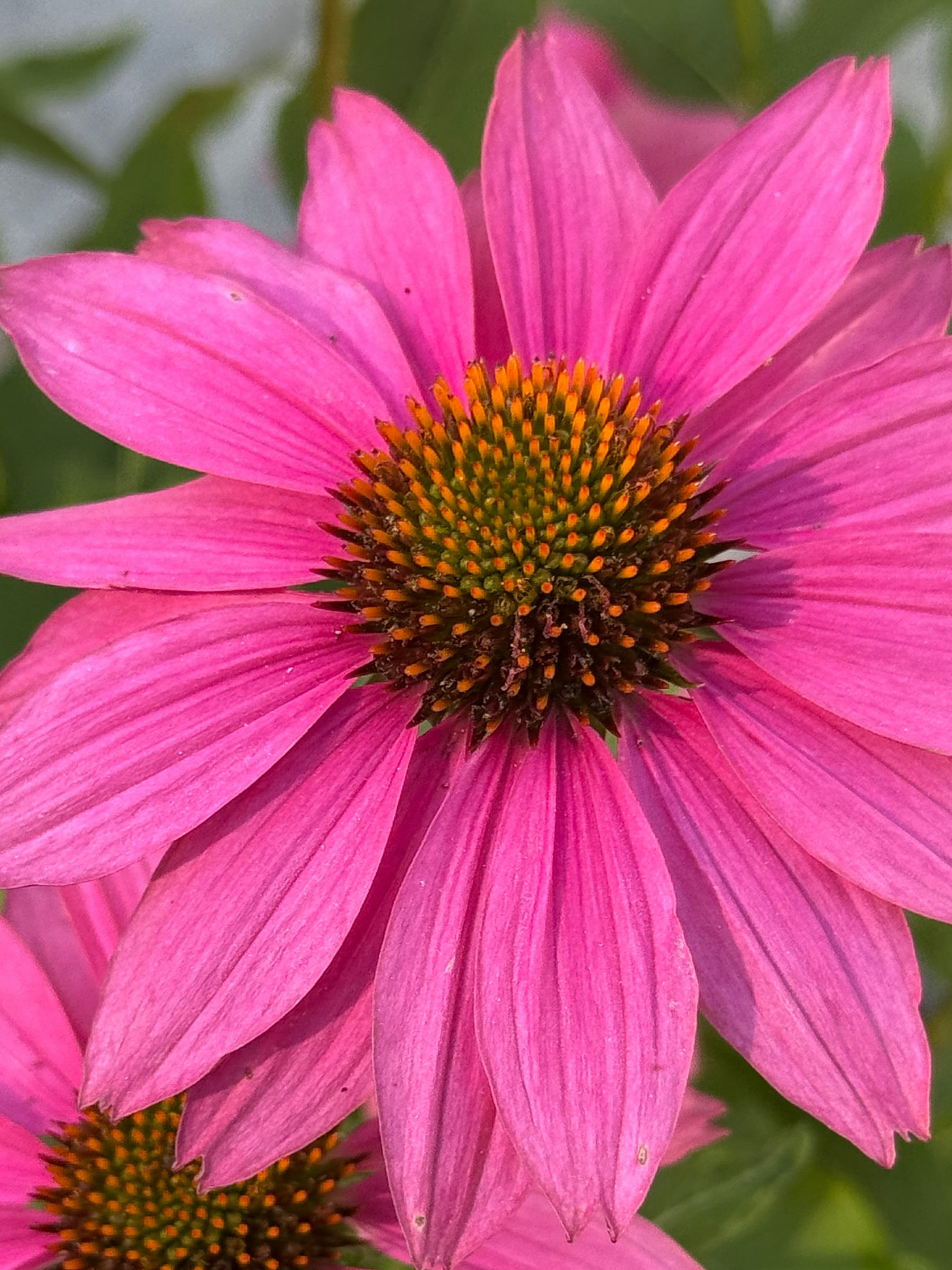 Your garden starts here.